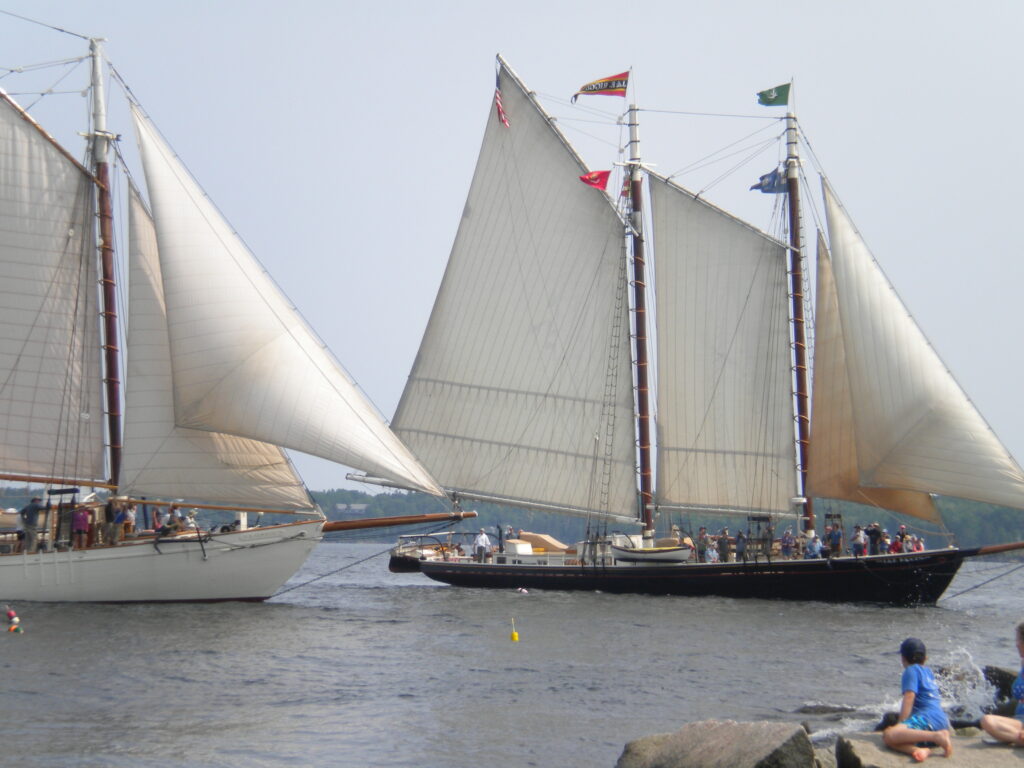 Maine schooners